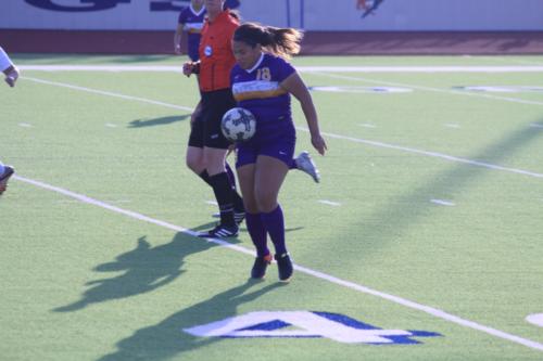 29060910 1750283308370914 9182418931369419793 o